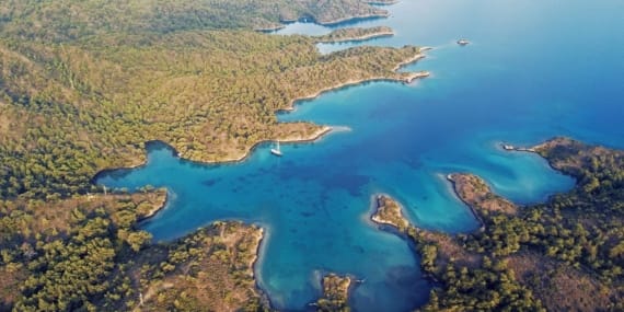 goldman-prize-zafer-kizilkaya-1