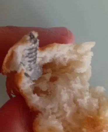 Elazig8217da-Ekmekten-Cikan-Saskinlik-Yaratti-Vatandas-Gorduklerine-Inanamadi-featured