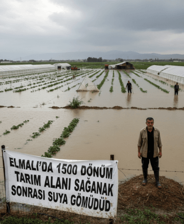 Elmalida-1500-Donum-Tarim-Alani-Saganak-Sonrasi-Suya-Gomuldu-gemini