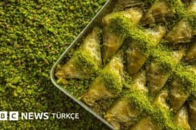 Gaziantep-8216Yesil-Altin8217in-Sekillendirdigi-Gastronomi-Baskenti-featured