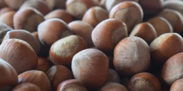 Kuresel-Findik-Uretiminde-Lider-5-Ulke-featured