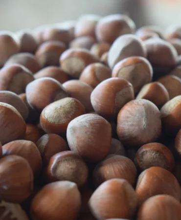 Kuresel-Findik-Uretiminde-Lider-5-Ulke-featured