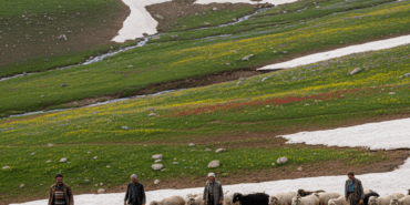 Toroslarin-Yuksek-Yaylalarinda-Karlar-Cekiliyor-Doga-Rengarenk-Canlaniyor-gemini