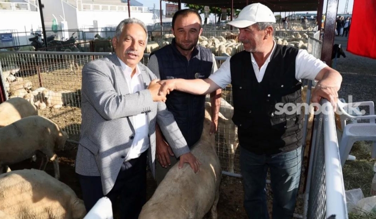 kayseri-talasta-kurban-satis-yeri-belirlendi-RFiPMfPM.jpg