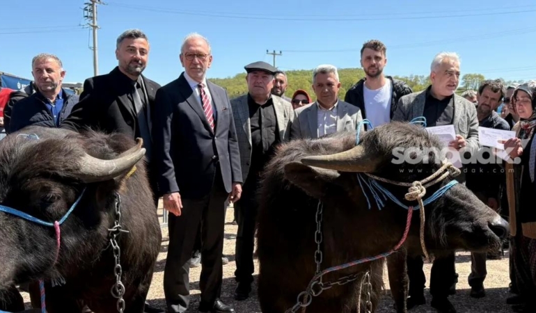 kocaelide-damizlik-mandalar-ureticilere-teslim-edildi-F74L9sQY.jpg
