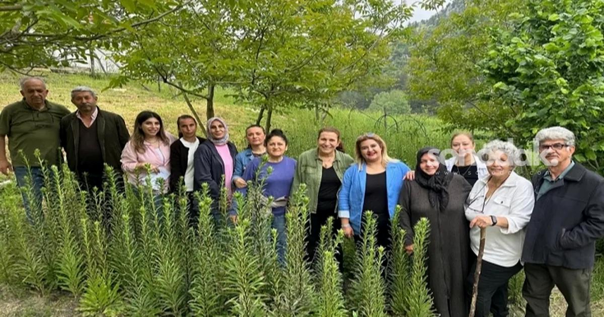 ak-zambaklar-gelisiyor-bayanlar-gucleniyor-gmEFtqbK.jpg