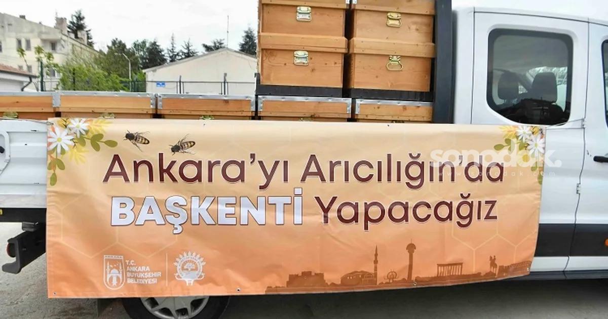 ankara-buyuksehirden-aricilara-kovan-takviyesi-4ZzG4t8b.jpg
