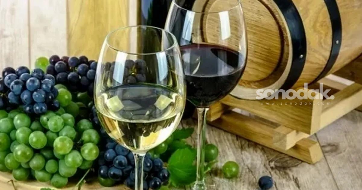 aromatize-sarap-bazli-icki-uretimine-ahenkte-son-tarih-30-eylul-FvaAANPx.jpg