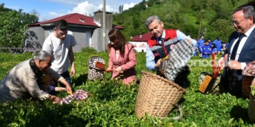 artvinde-klasik-cay-hasadi-basladi-8WdAimcr.jpg