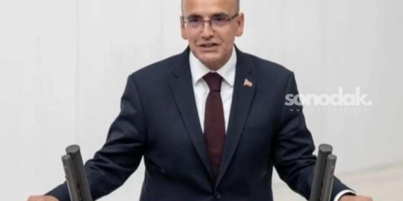 bakan-simsek-cari-acikta-kadameli-gerileme-bekleniyor-3qgKLAfx.jpg