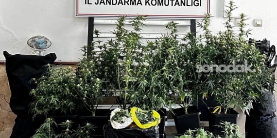 bursada-kilolarca-esrar-ve-skunk-ele-gecirildi-sEPehEbc.jpg