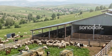 ciftcilere-548-milyar-tl-zira-dayanak-odemeler-hesaplarda-8yJSvr5f.jpg