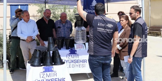 izmirde-kahverengi-kokarca-bocegine-karsi-tuzak-fkYzAwfa.jpg