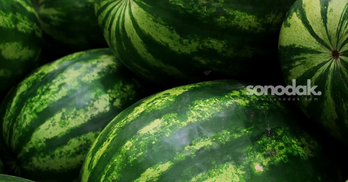 karpuz-sezonu-acildi-tatli-ve-kirmizi-karpuz-secmenin-puf-noktalari-qRTLCQwG.jpg
