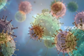 sagliktan-hantavirus-aciklamasi-turkiyede-muspet-hadise-yok-3O5QvkbA.jpg