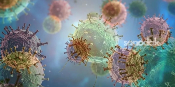 sagliktan-hantavirus-aciklamasi-turkiyede-muspet-hadise-yok-3O5QvkbA.jpg