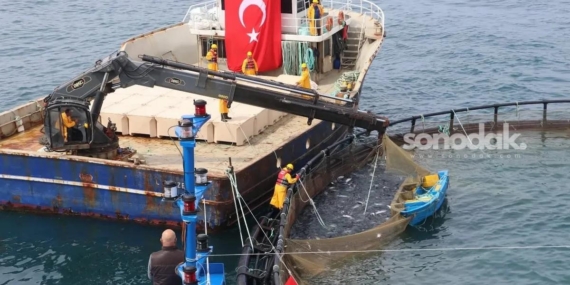 turk-somonu-ihracatta-rekor-yolunda-uretim-75-bin-tona-ulasti-RvLakXjg.jpg