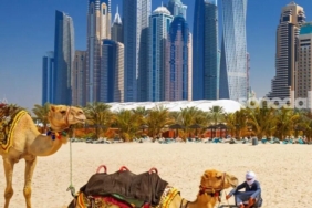 turk-yatirimci-dubaide-frene-basmadi-Fh5RGb46.jpg